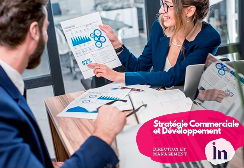 Stratégie Commerciale et Développement